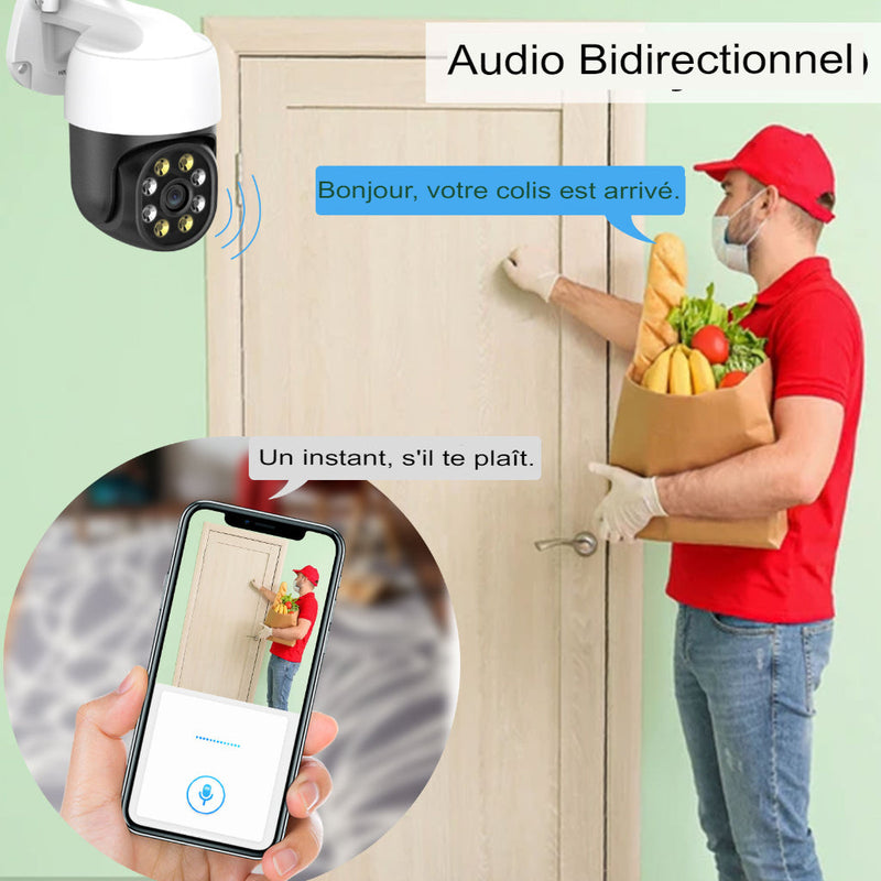 Dome HD connected surveillance camera 