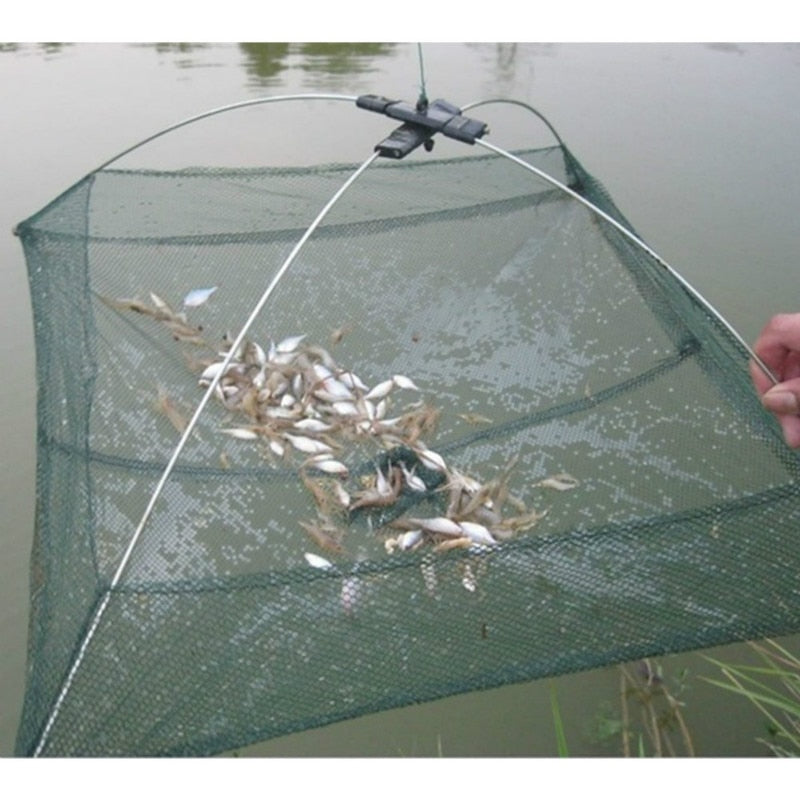 360° 10 Hole Fish Trap - Catch More Fish! 